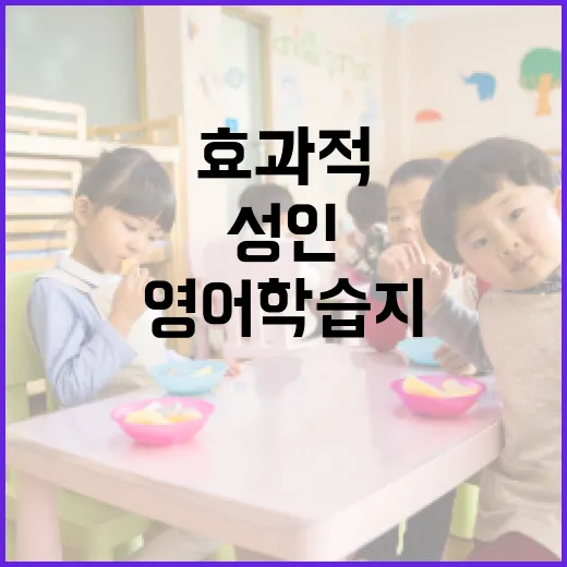 성인을 위한 영어학습지, 효과적으로 활용하는 방법 - 요약