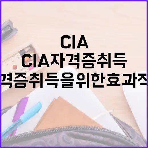 CIA 자격증 취득을 위한 효과적인 전략 - 요약