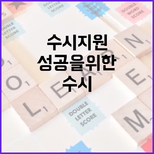 수시 지원 성공을 위한 꿀팁: 이렇게 준비해보세요 - 요약