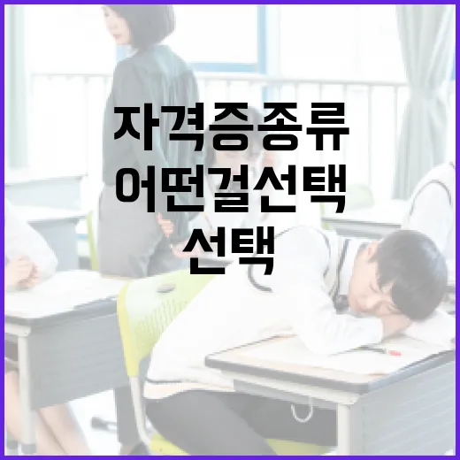 자격증 종류: 어떤 걸 선택할까? - 요약