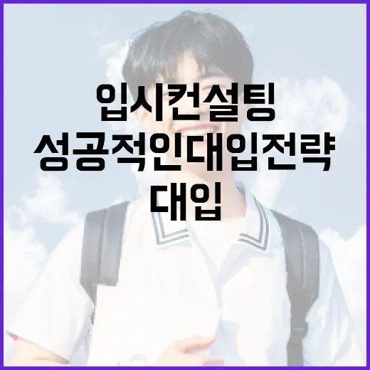 입시컨설팅 활용법, 성공적인 대입 전략 만들기 - 요약