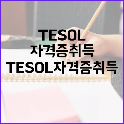 TESOL 자격증 취득, 이렇게 준비하세요! - 요약