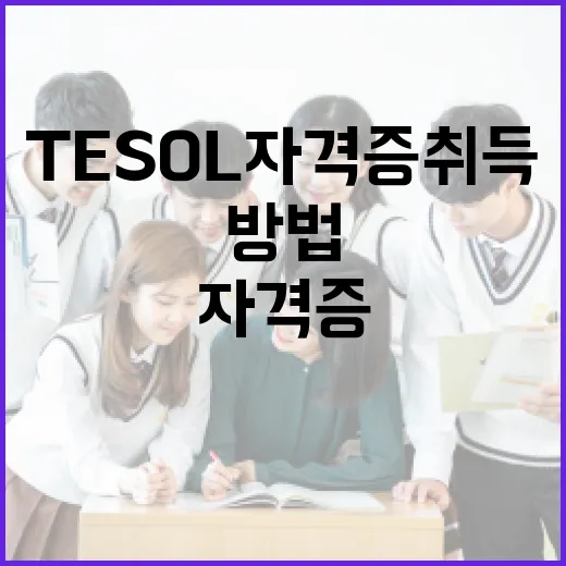 TESOL 자격증 취득을 위한 실질적인 방법 - 요약