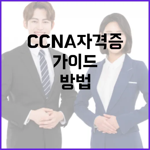 CCNA 자격증 준비하는 방법: 초보자를 위한 가이드 - 요약