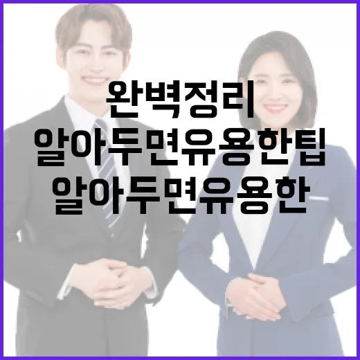 수능일정 완벽 정리…