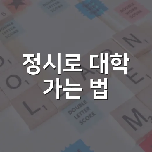 정시로 대학 가는 법: 전략과 팁 - 요약
