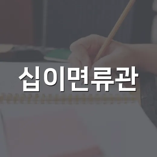 십이면류관: 한국 전통 미학의 정수 - 요약