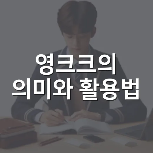 영크크의 의미와 활용법, 이렇게 하면 쉽다! - 요약