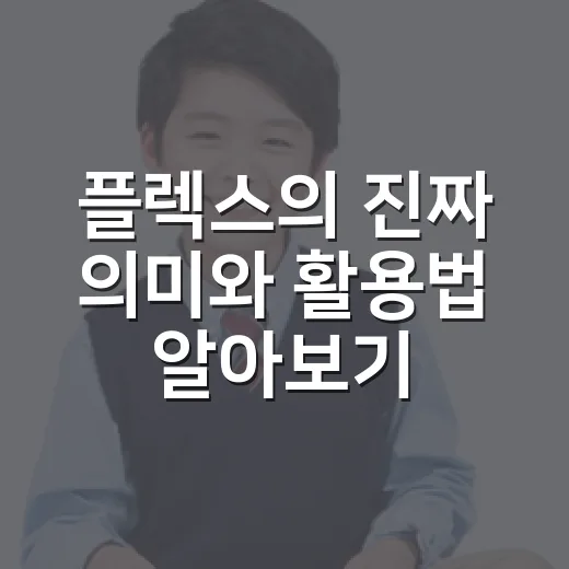 플렉스의 진짜 의미와 활용법 알아보기 - 요약