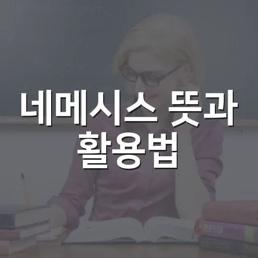 네메시스 뜻과 활용법, 알고 계셨나요? - 요약
