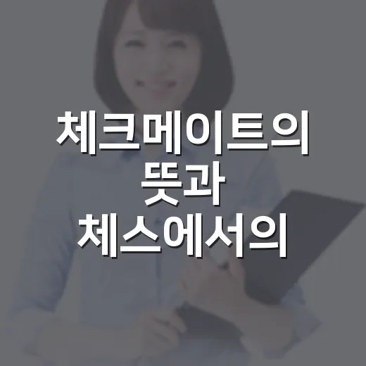 체크메이트의 뜻과 체스에서의 의미 - 요약
