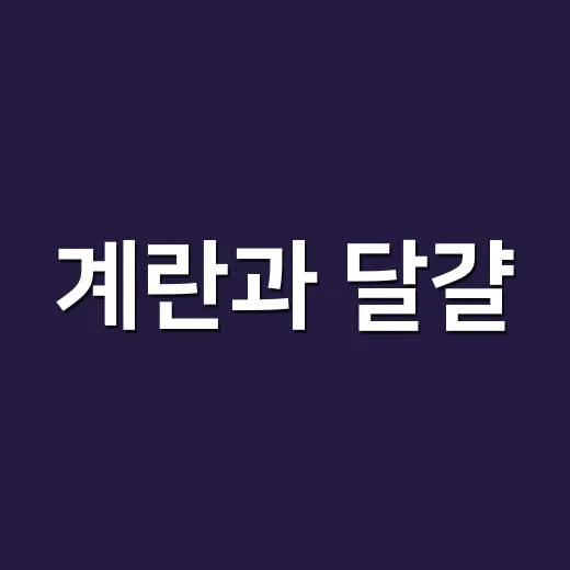 계란과 달걀, 둘 다 표준어가 맞을까요? - 요약