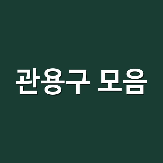 관용구 모음, 왜 외워도 자꾸 헷갈릴까요? - 요약