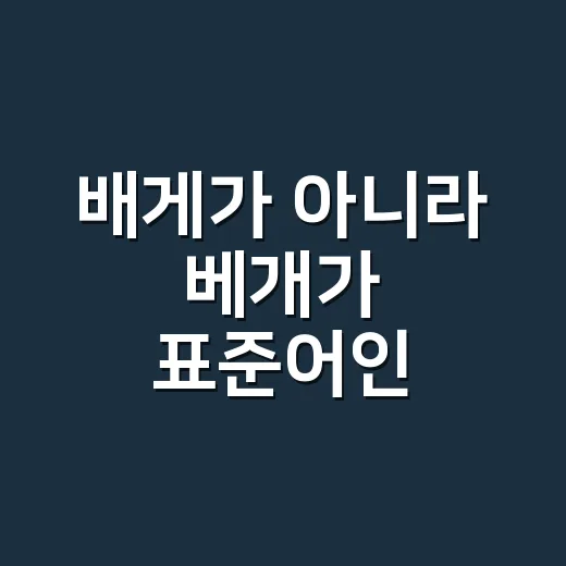 배게가 아니라 베개가 표준어인 이유가 궁금하신가요? - 요약