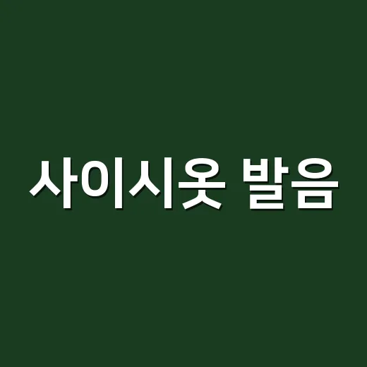사이시옷 발음, 왜 어떤 말은 된소리로 읽고 어떤 말은 ㄴ이 덧날까요? - 요약