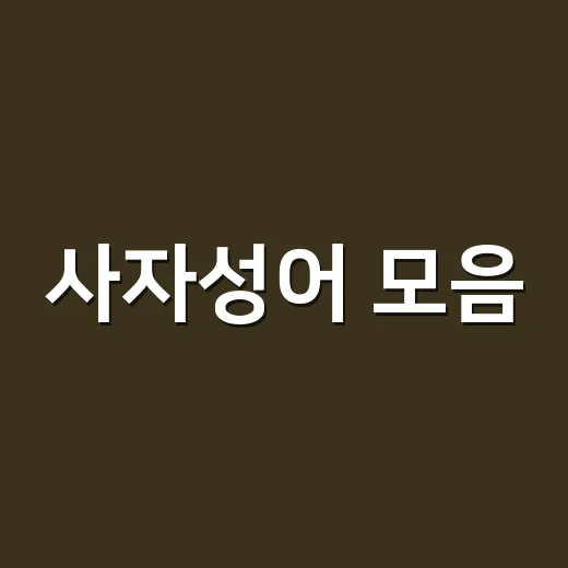 사자성어 모음, 많이 외웠는데 왜 자꾸 헷갈릴까요? - 요약