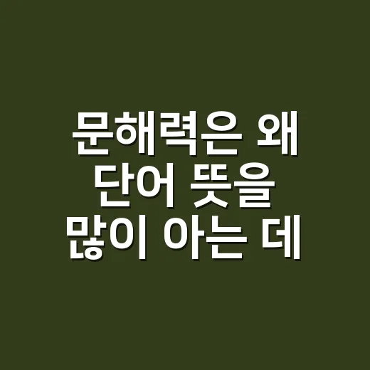 문해력은 왜 단어 뜻을 많이 아는 데서 시작될까요? - 요약