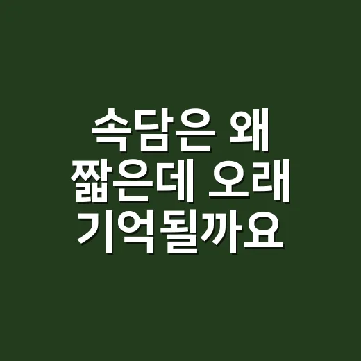 속담은 왜 짧은데 오래 기억될까요? - 요약