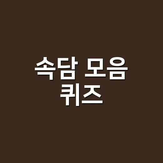 속담 모음 퀴즈, 뜻까지 제대로 맞히고 계신가요? - 요약