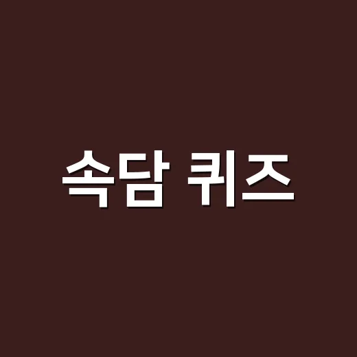 속담 퀴즈, 뜻만 외우면 왜 자꾸 틀릴까요? - 요약