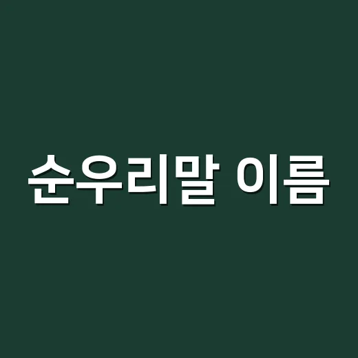 순우리말 이름, 예쁘기만 하면 괜찮을까요? - 요약