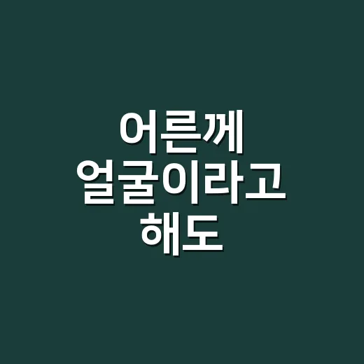 어른께 ‘얼굴’이라고 해도 괜찮을까요? - 요약