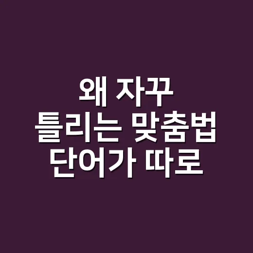 왜 자꾸 틀리는 맞춤법 단어가 따로 있을까요? - 요약