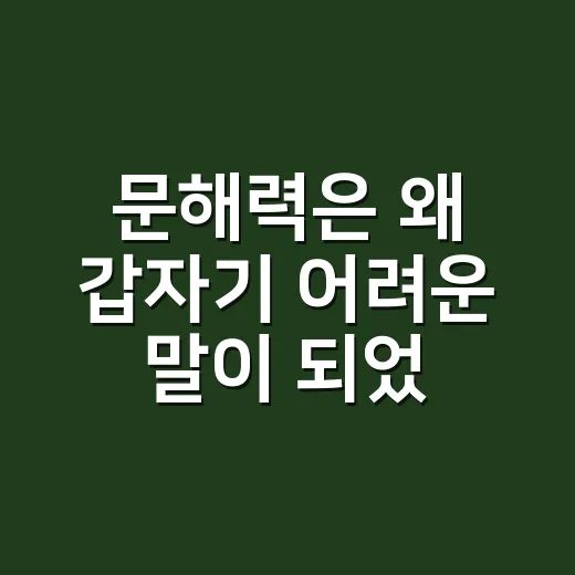 문해력은 왜 갑자기 어려운 말이 되었을까요? - 요약