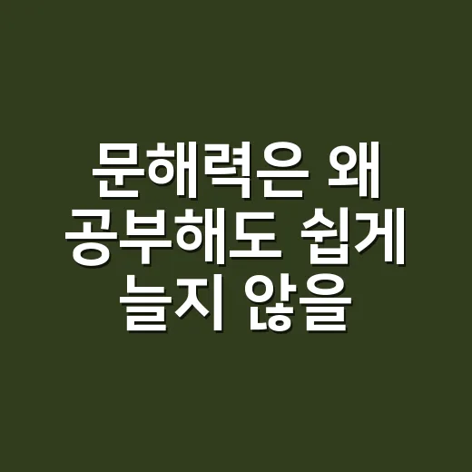 문해력은 왜 공부해도 쉽게 늘지 않을까요? - 요약