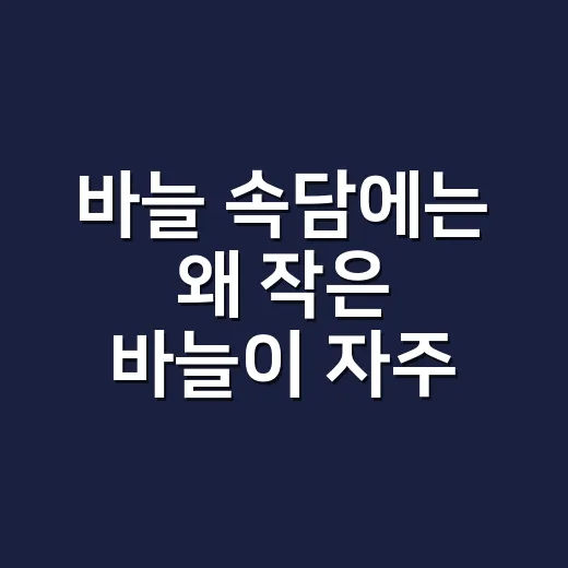 바늘 속담에는 왜 작은 바늘이 자주 나올까요? - 요약