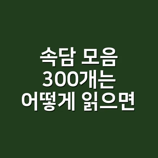 속담 모음 300개는 어떻게 읽으면 오래 기억날까요? - 요약