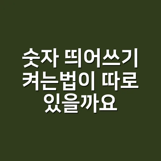 숫자 띄어쓰기 켜는법이 따로 있을까요? - 요약