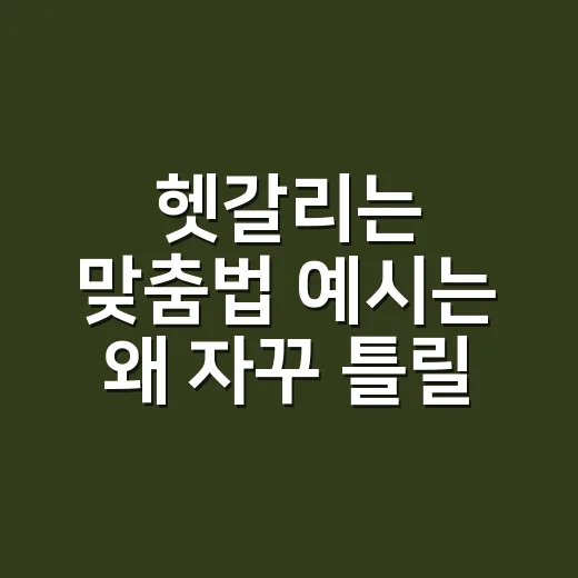 헷갈리는 맞춤법 예시는 왜 자꾸 틀릴까요? - 요약