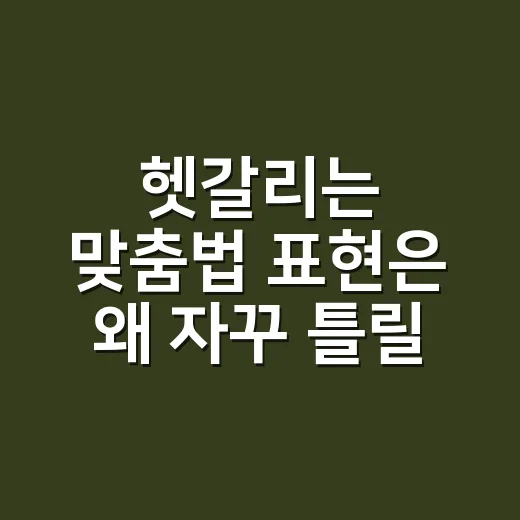 헷갈리는 맞춤법 표현은 왜 자꾸 틀릴까요? - 요약