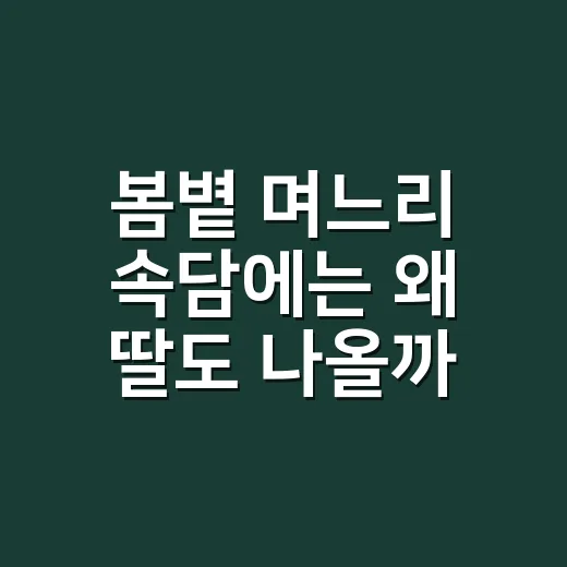 봄볕 며느리 속담에는 왜 딸도 나올까요? - 요약