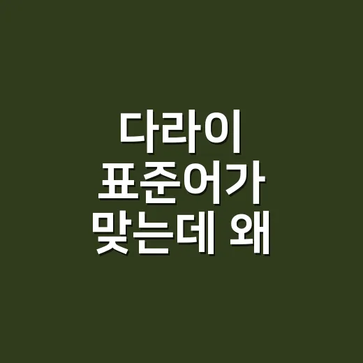 다라이 표준어가 맞는데 왜 대야라고 할까요? - 요약