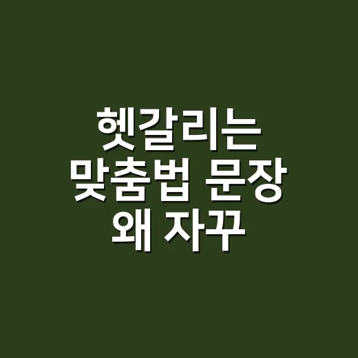 헷갈리는 맞춤법 문장 왜 자꾸 틀릴까요? - 요약