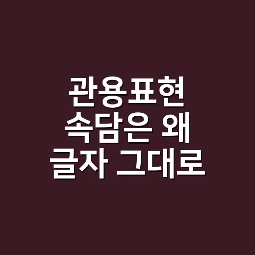 관용표현 속담은 왜 글자 그대로 읽으면 뜻이 달라질까요? - 요약