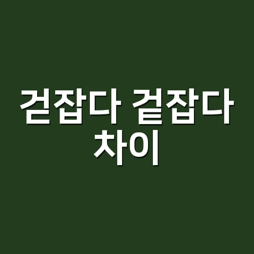 걷잡다 겉잡다 차이, 왜 소리는 같은데 뜻은 다를까요? - 요약