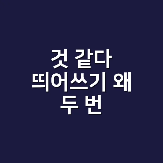 것 같다 띄어쓰기 왜 두 번 띄울까요? - 요약