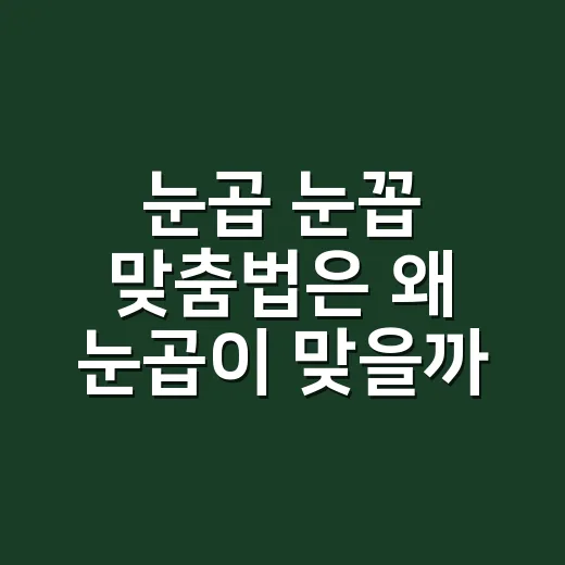 눈곱 눈꼽 맞춤법은 왜 눈곱이 맞을까요? - 요약