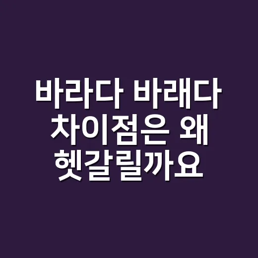 바라다 바래다 차이점은 왜 헷갈릴까요? - 요약
