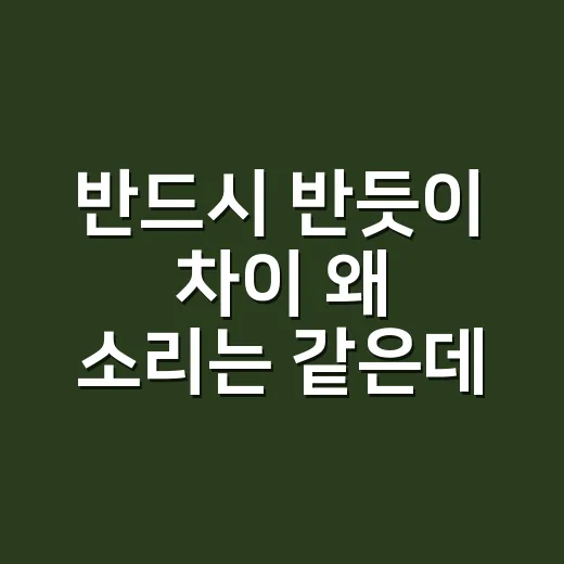 반드시 반듯이 차이 왜 소리는 같은데 뜻은 다를까요? - 요약