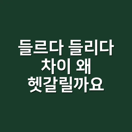 들르다 들리다 차이 왜 헷갈릴까요? - 요약