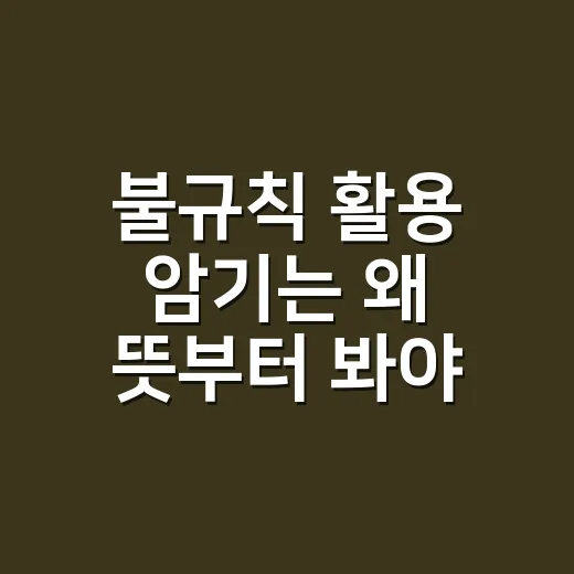 불규칙 활용 암기는 왜 뜻부터 봐야 할까요? - 요약