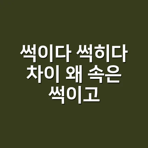 썩이다 썩히다 차이 왜 속은 썩이고 재능은 썩힐까요? - 요약