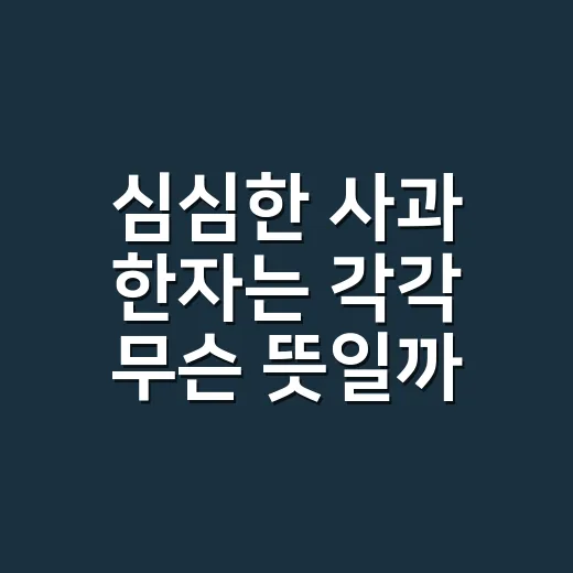 심심한 사과 한자는 각각 무슨 뜻일까요? - 요약