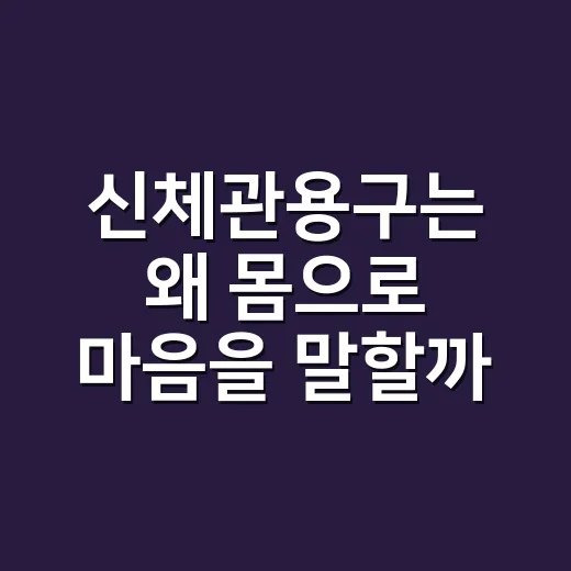 신체관용구는 왜 몸으로 마음을 말할까요? - 요약