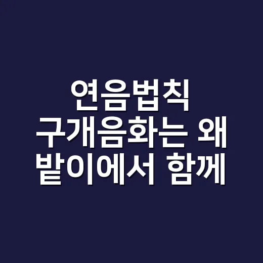 연음법칙 구개음화는 왜 밭이에서 함께 일어날까요? - 요약