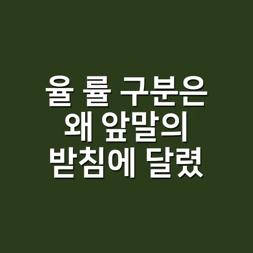 율 률 구분은 왜 앞말의 받침에 달렸을까요? - 요약